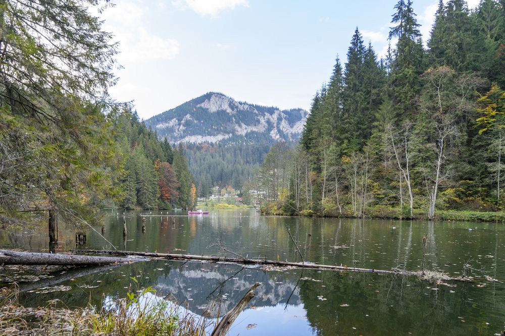 Фотография автора Ирина Зайцева