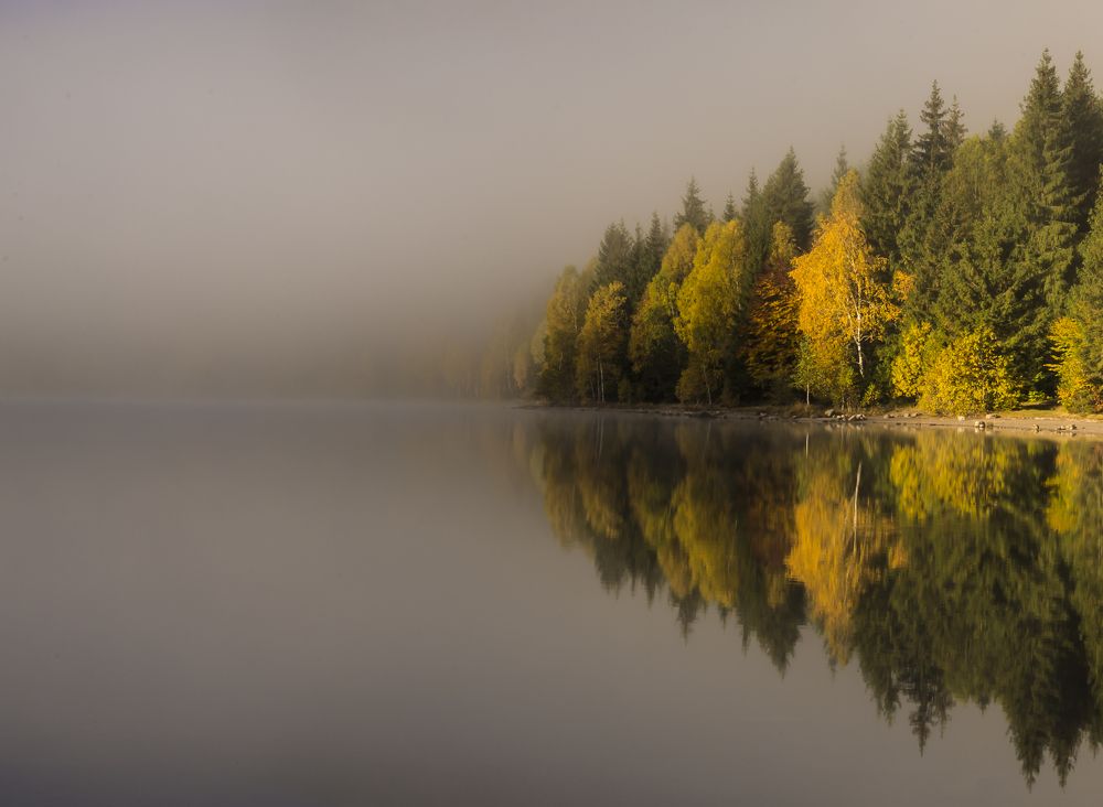 Photograph by Razvan Iliescu