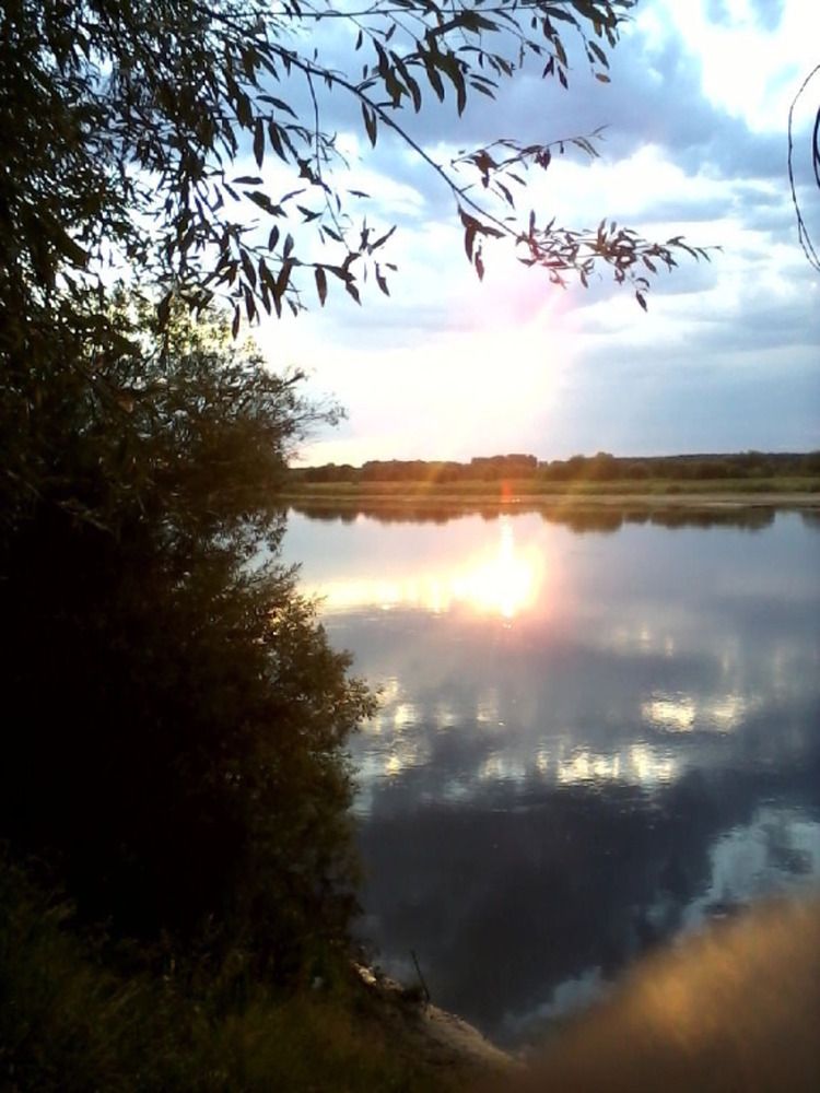 Photograph by Светлана