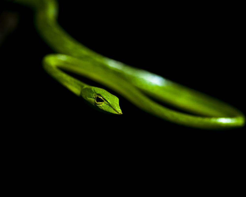 Photograph by Sameer Patel