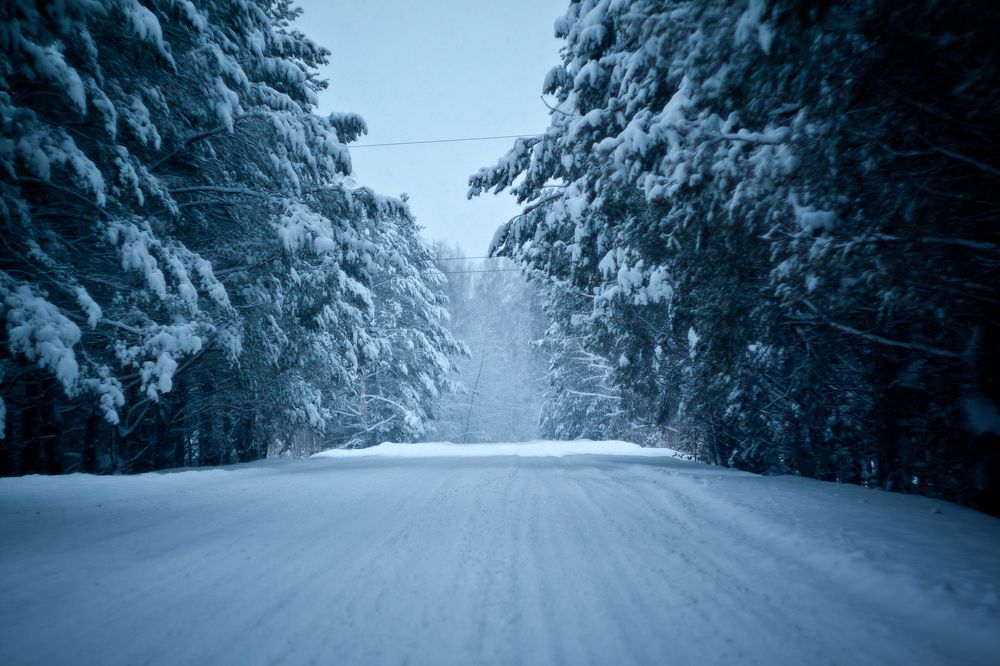 Photograph by Олег Терешкин