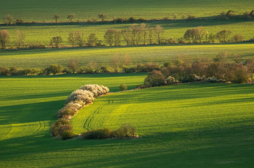 Photograph by Milan Chudoba