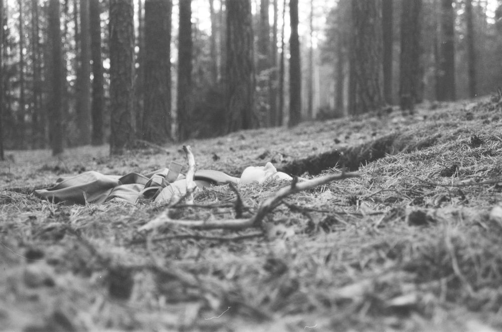 Photograph by Екатерина Немова