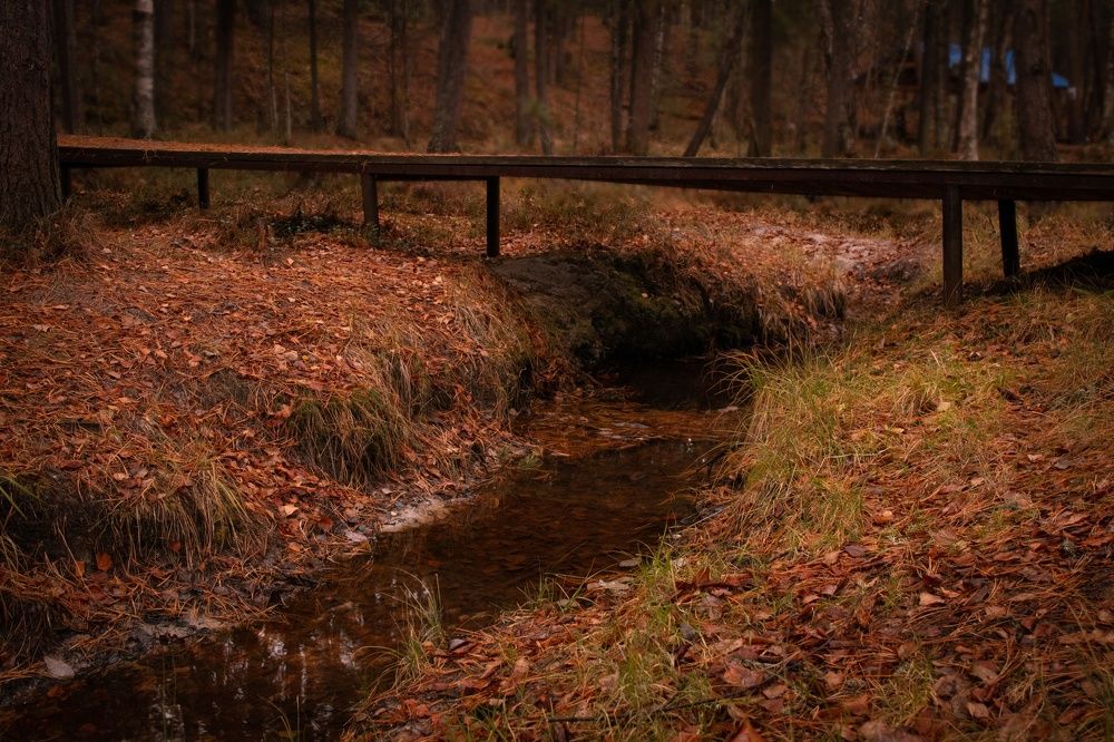 Photograph by Виктория Семенюта