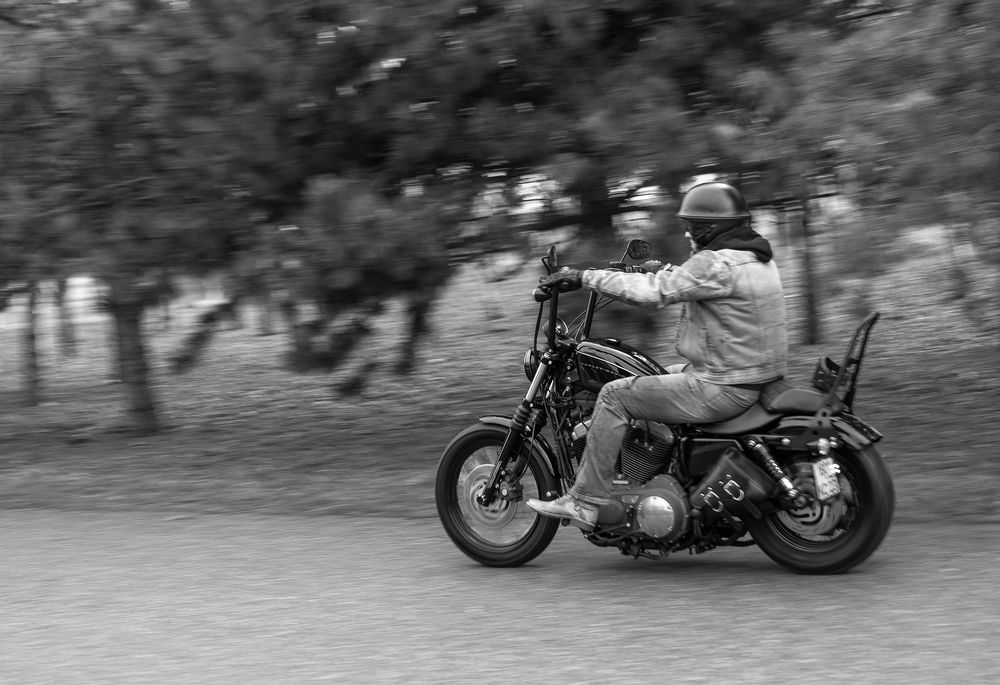 Photograph by Олеся Грекова