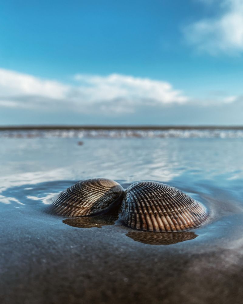 Photograph by Козинец Александр