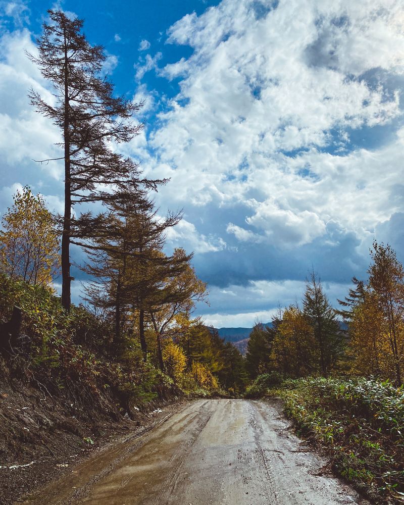 Photograph by Козинец Александр