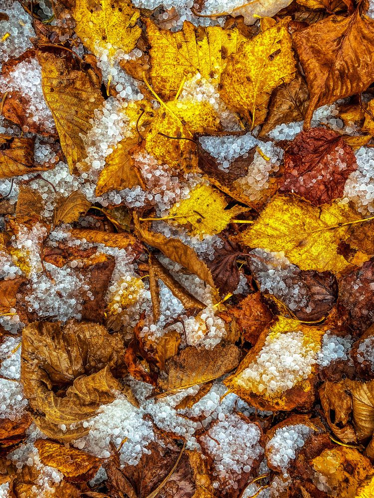 Photograph by Александр Козинец