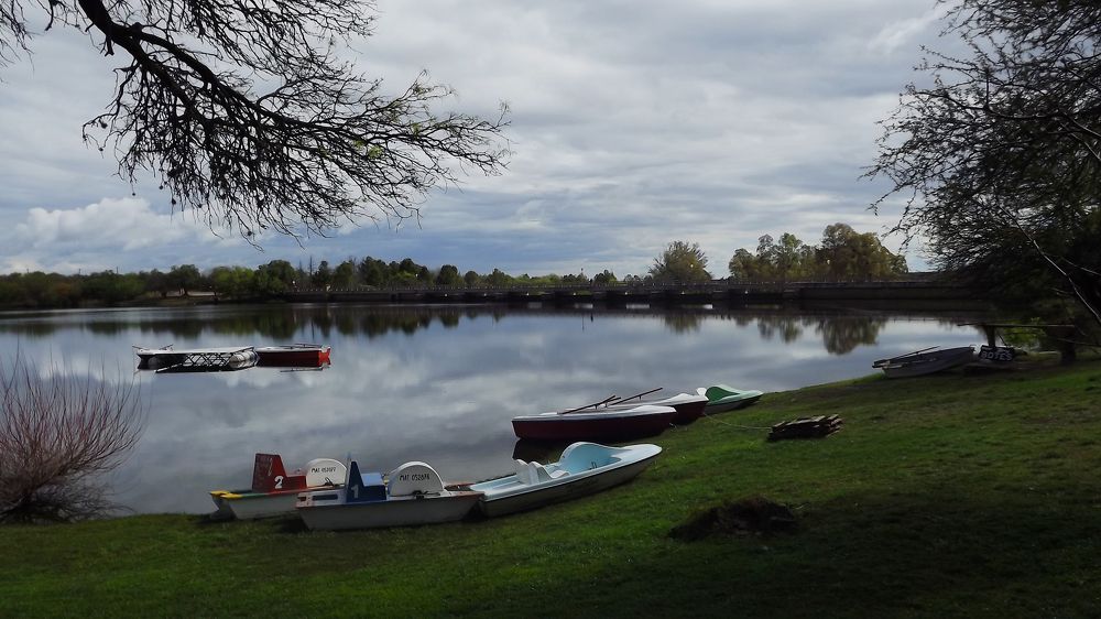 Photo #8629260