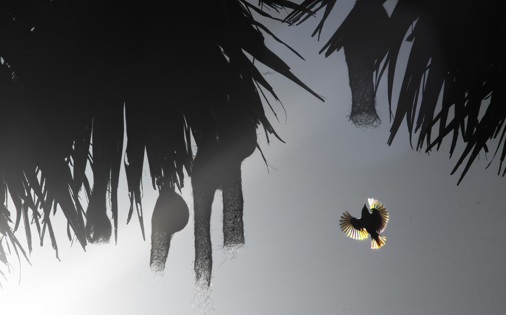 Photograph by Deepak KGK