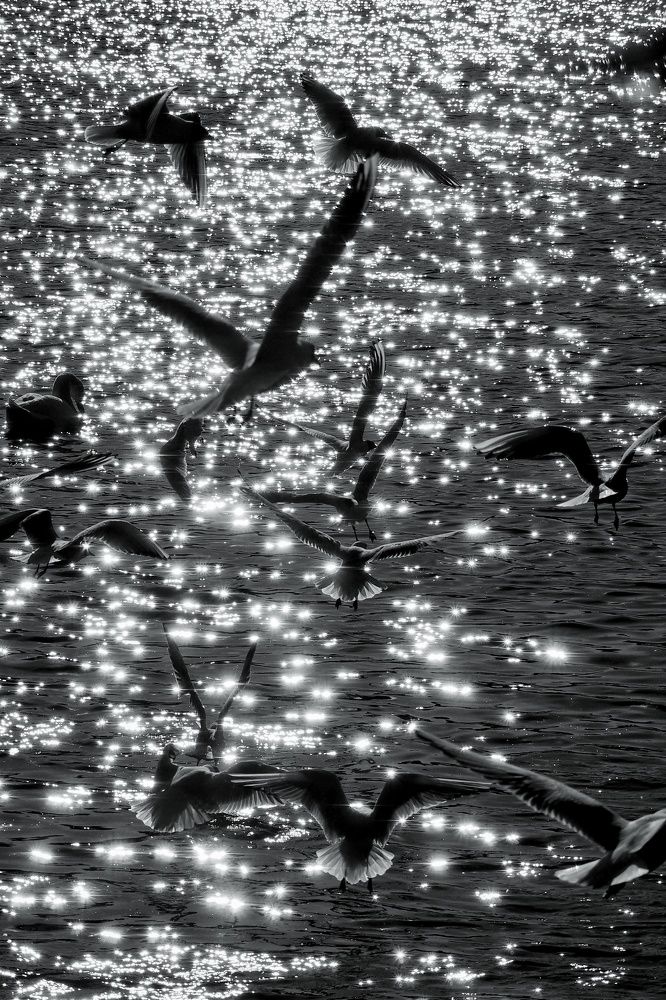 Photograph by Анастасия Кочетова