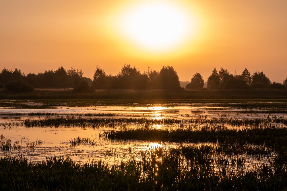 Photograph by Михаил Алещенков