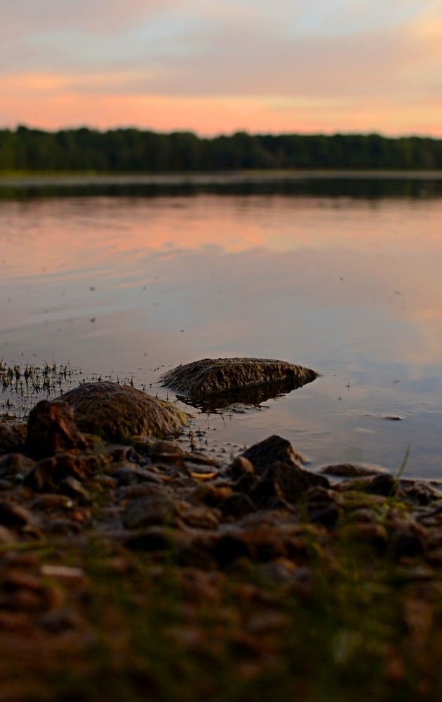 Photograph by Ольга Каунова