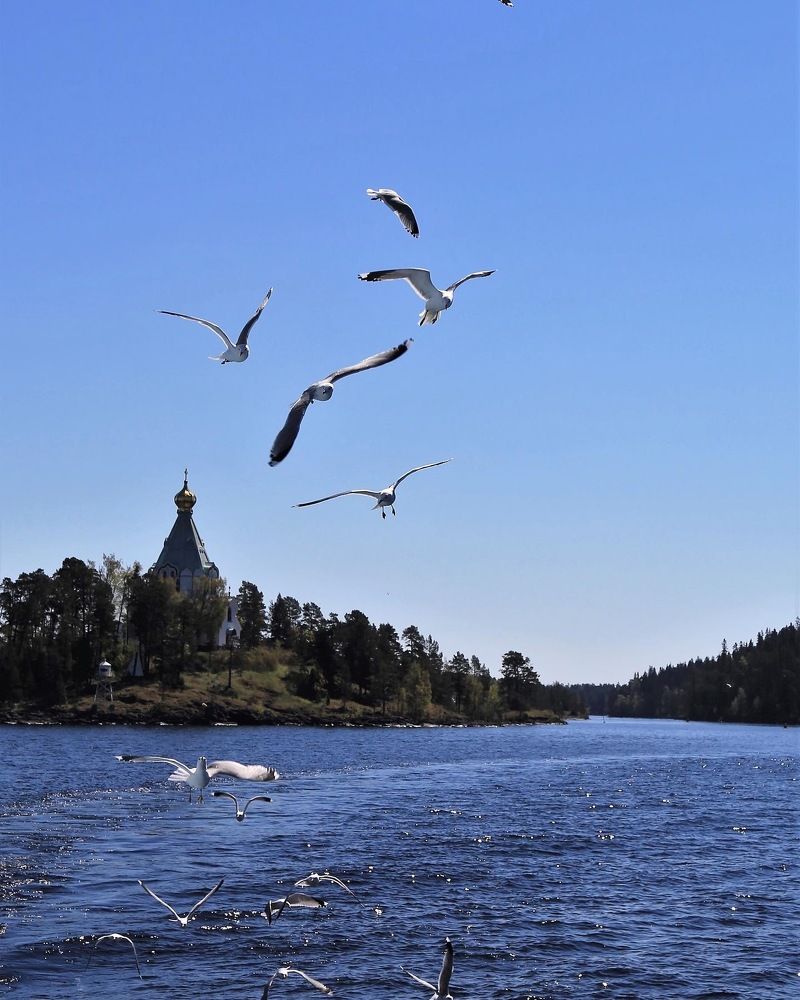 Ладожское озеро