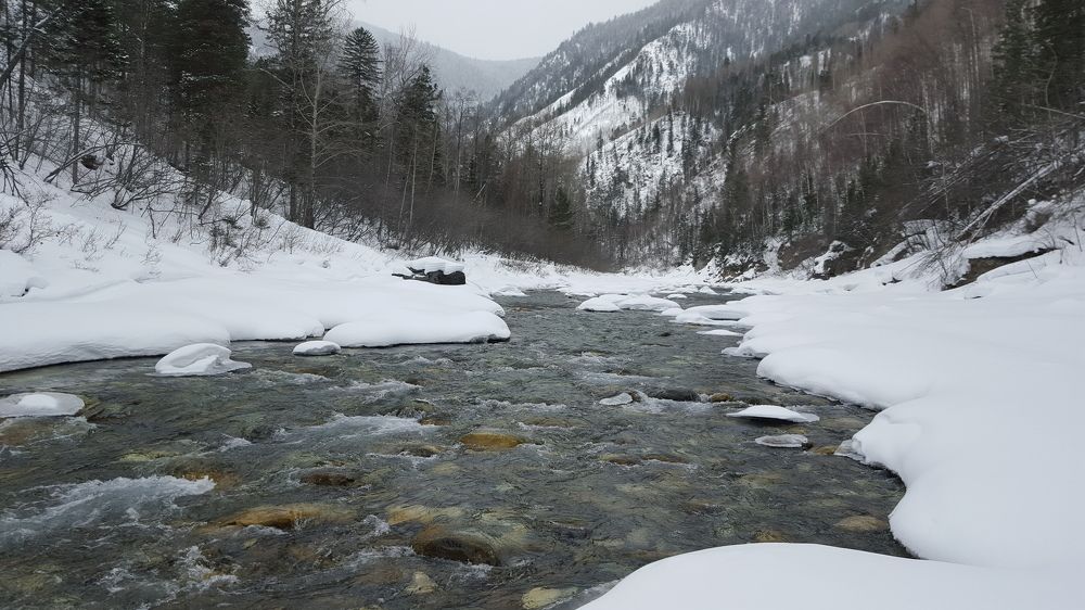 Жизнь продолжается.