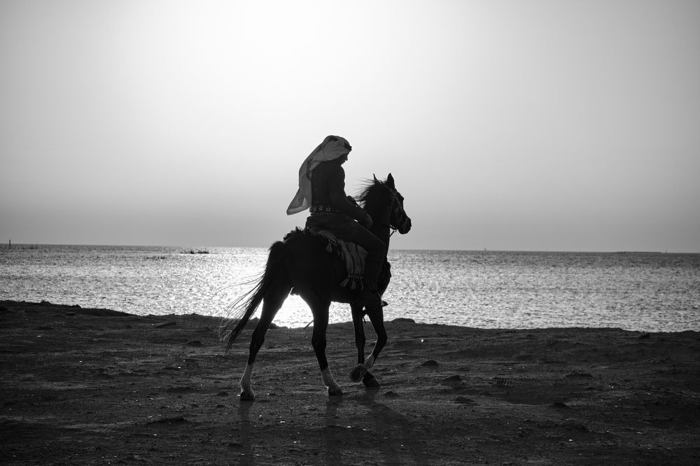 Фотография автора ALI AL HADDAD