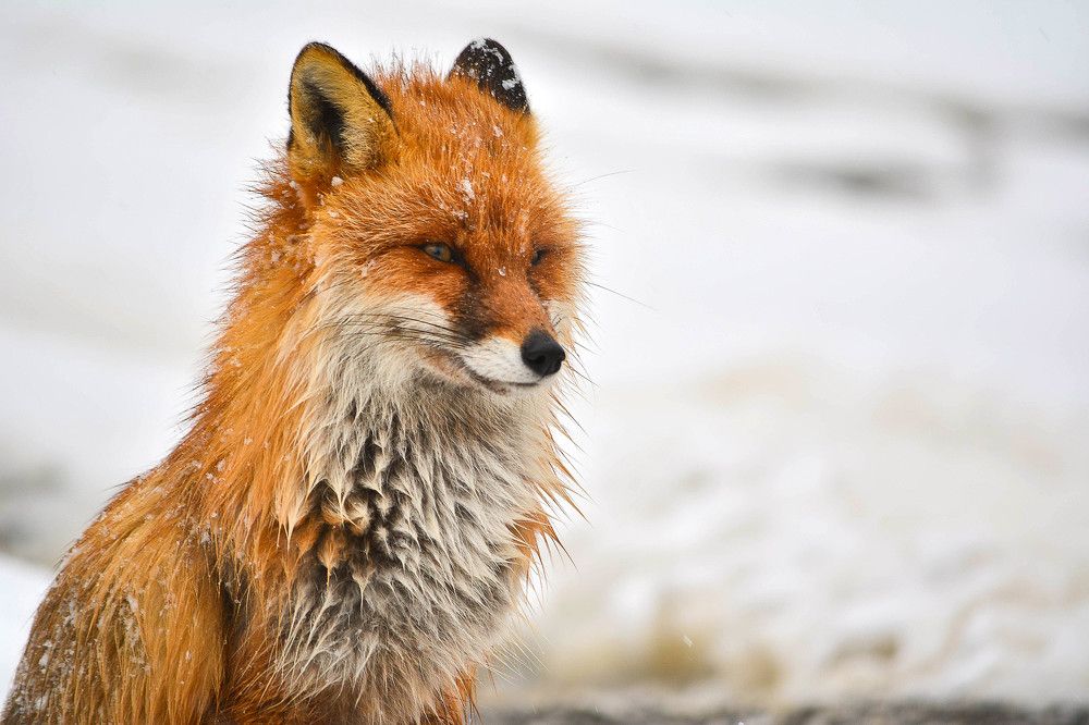 Photograph by Tanzilya Gabidullina