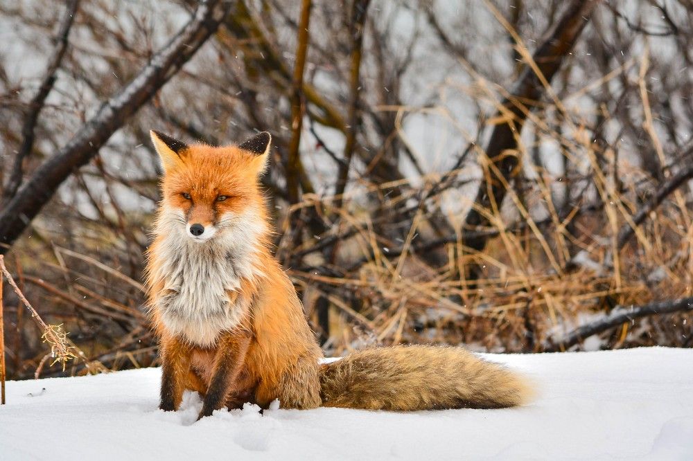 Photograph by Tanzilya Gabidullina