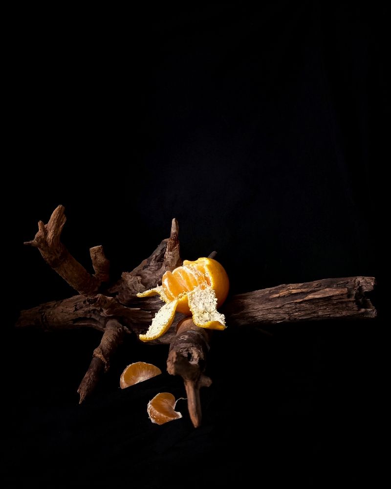 Photograph by Svetlana Yurasova