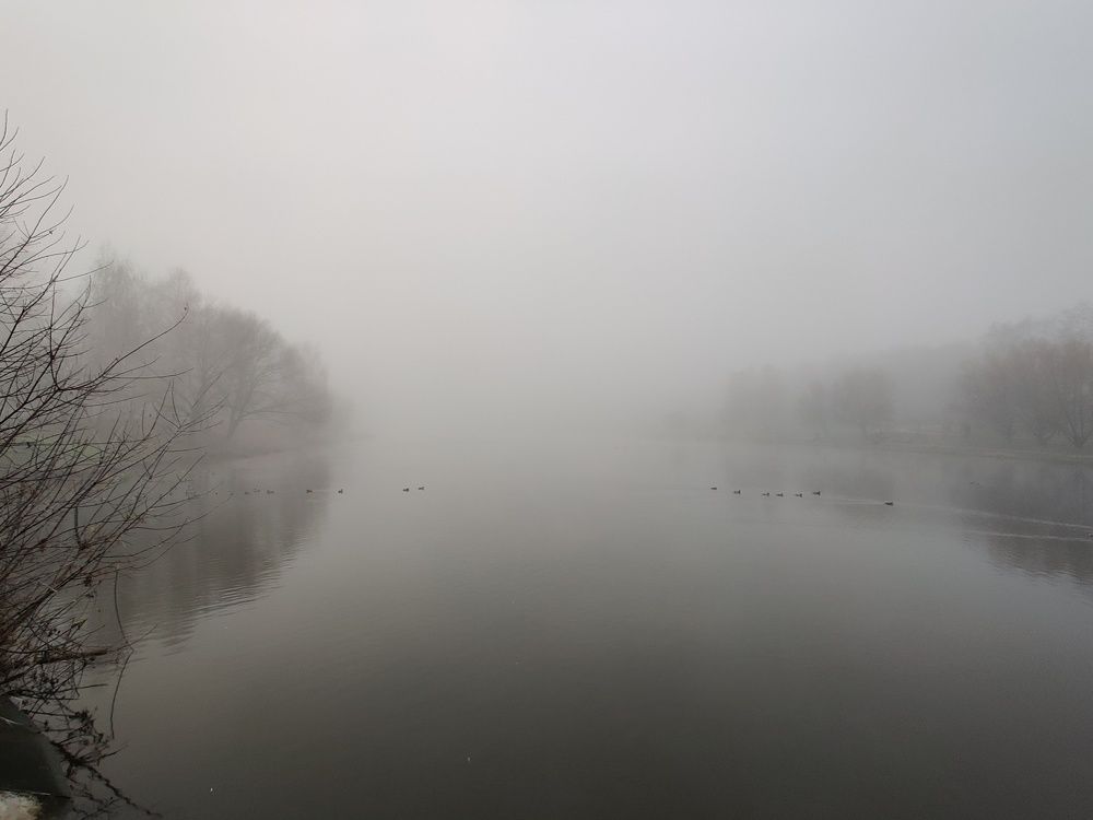 Photograph by Дмитрий Синицын