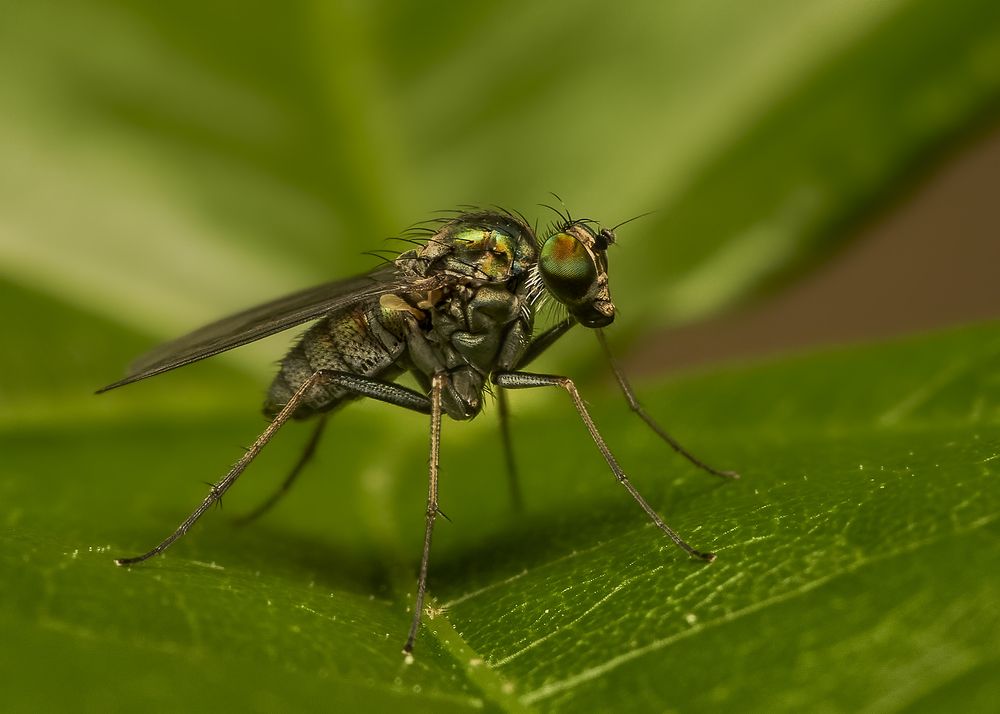 Photograph by Jose Vega