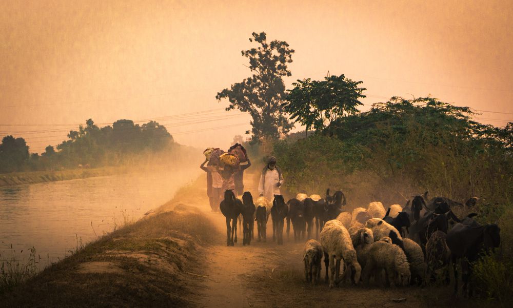 Photograph by MITHUN KUMAR