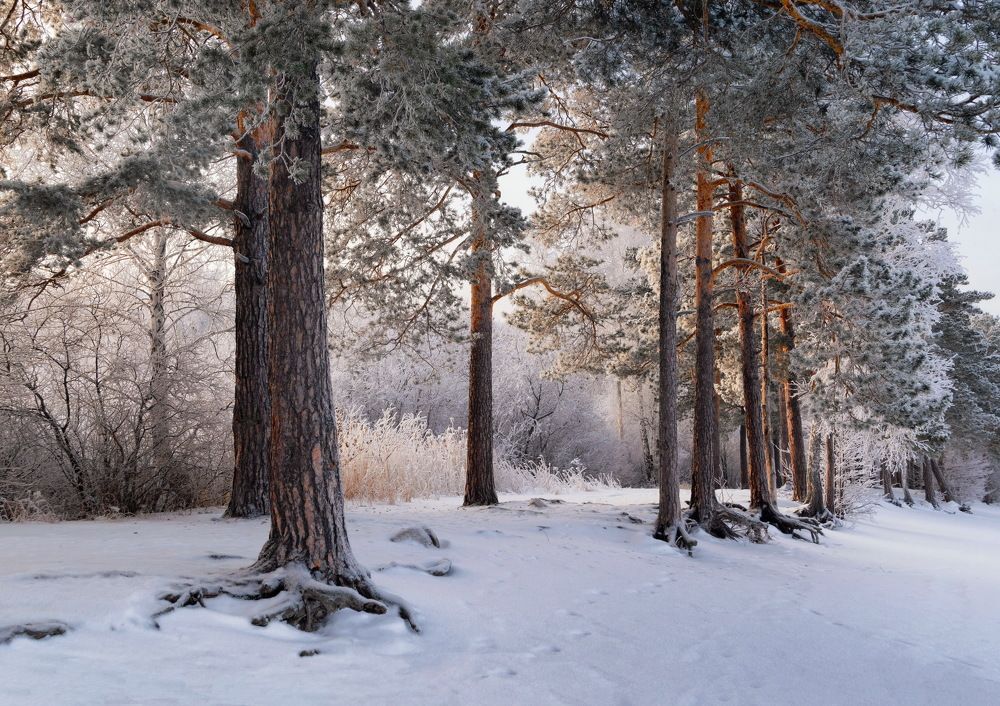 Photograph by Кетова Вера