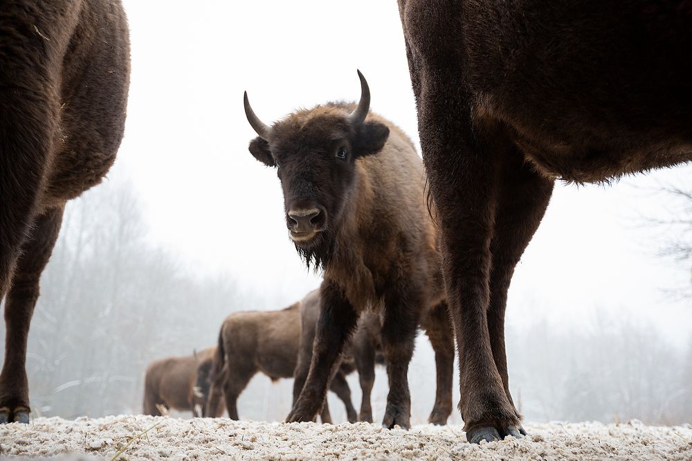 Photograph by Александр Ильин