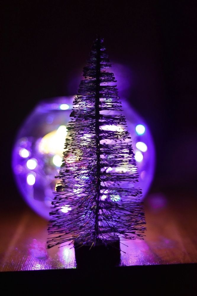 Photograph by Elvira