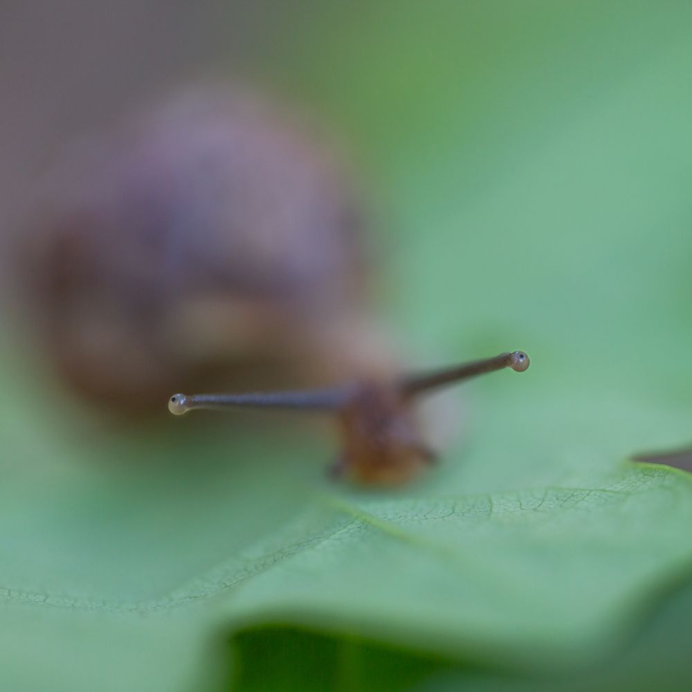 Photograph by Александр Ильин