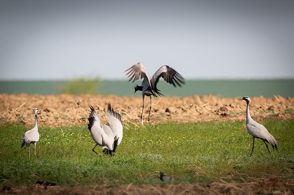 Photograph by Александр Ильин