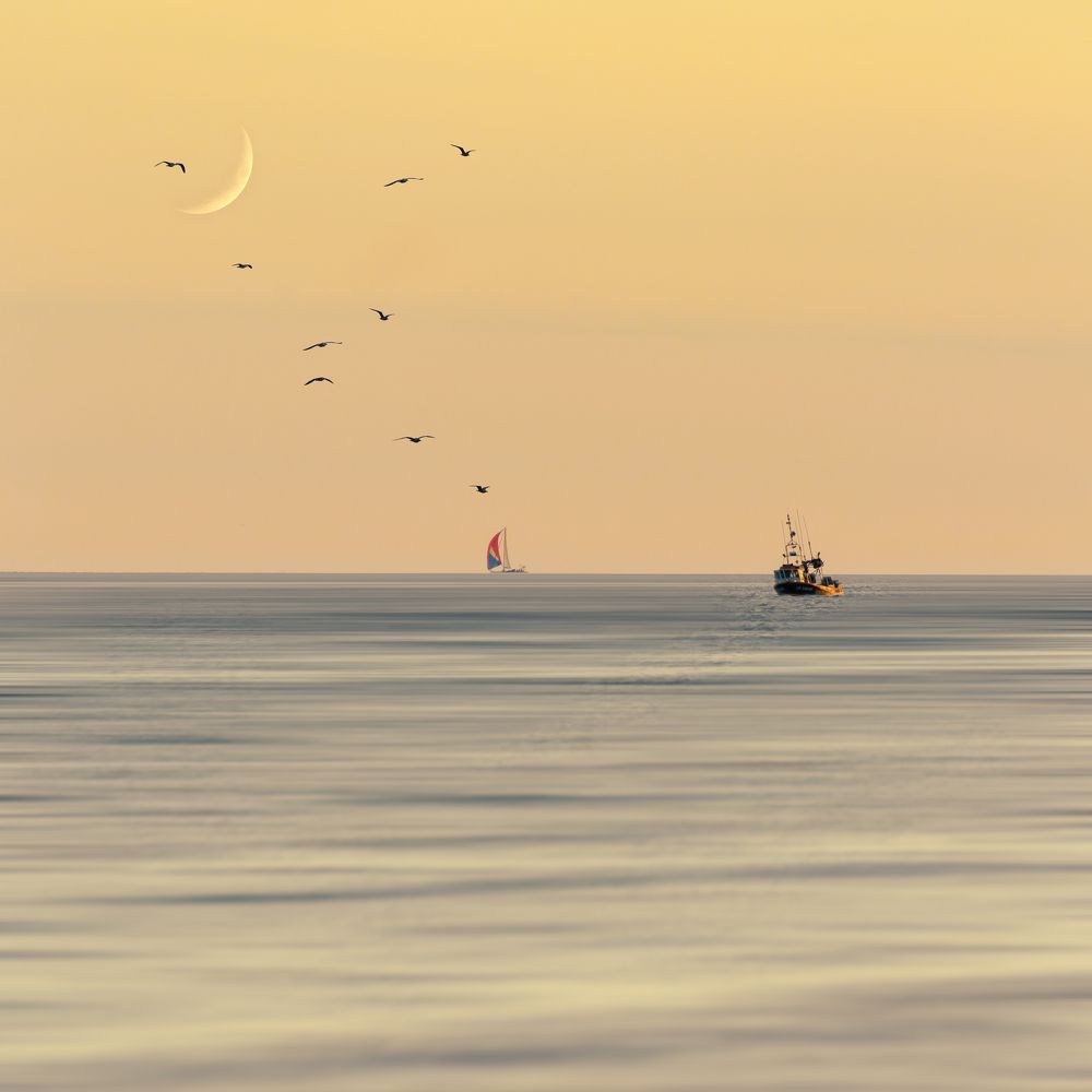 Фотография автора Anne Gabrielle Mougin