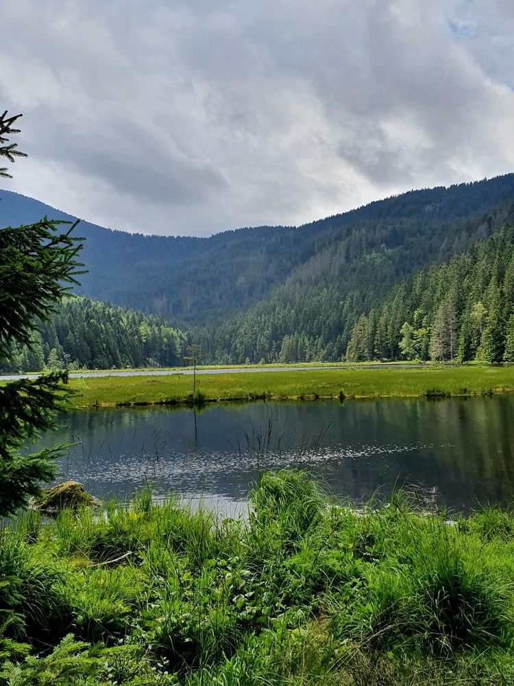 Photograph by Марина Регенспергер