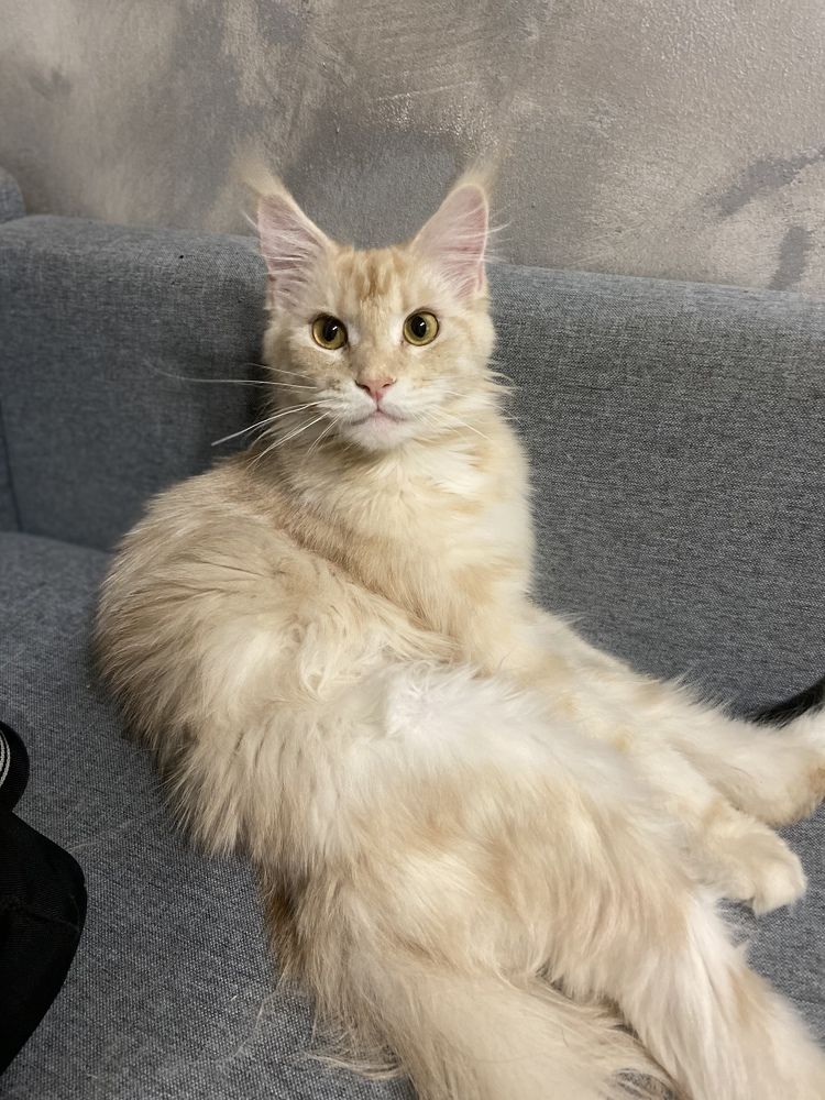 Photograph by Юлия Зеленева