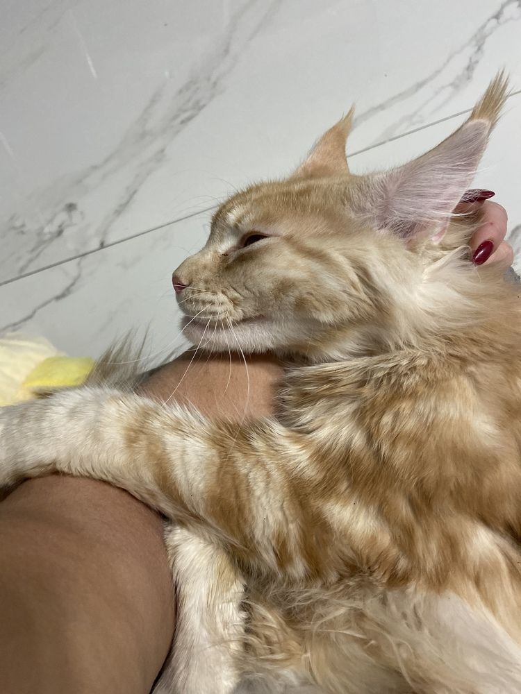 Photograph by Юлия Зеленева