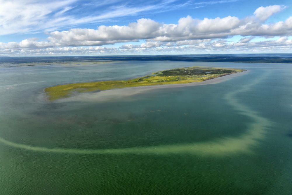 Photograph by Марина Пешкова