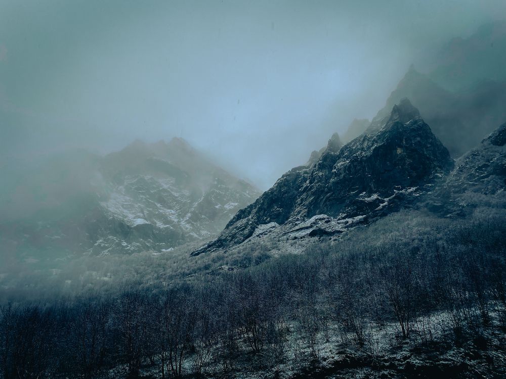Photograph by Мария Васильева