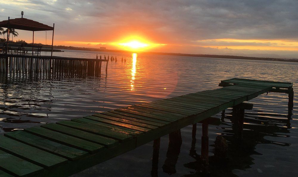 Photograph by Otto Acosta