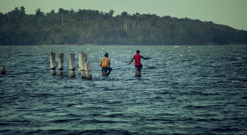 Photograph by Otto Acosta