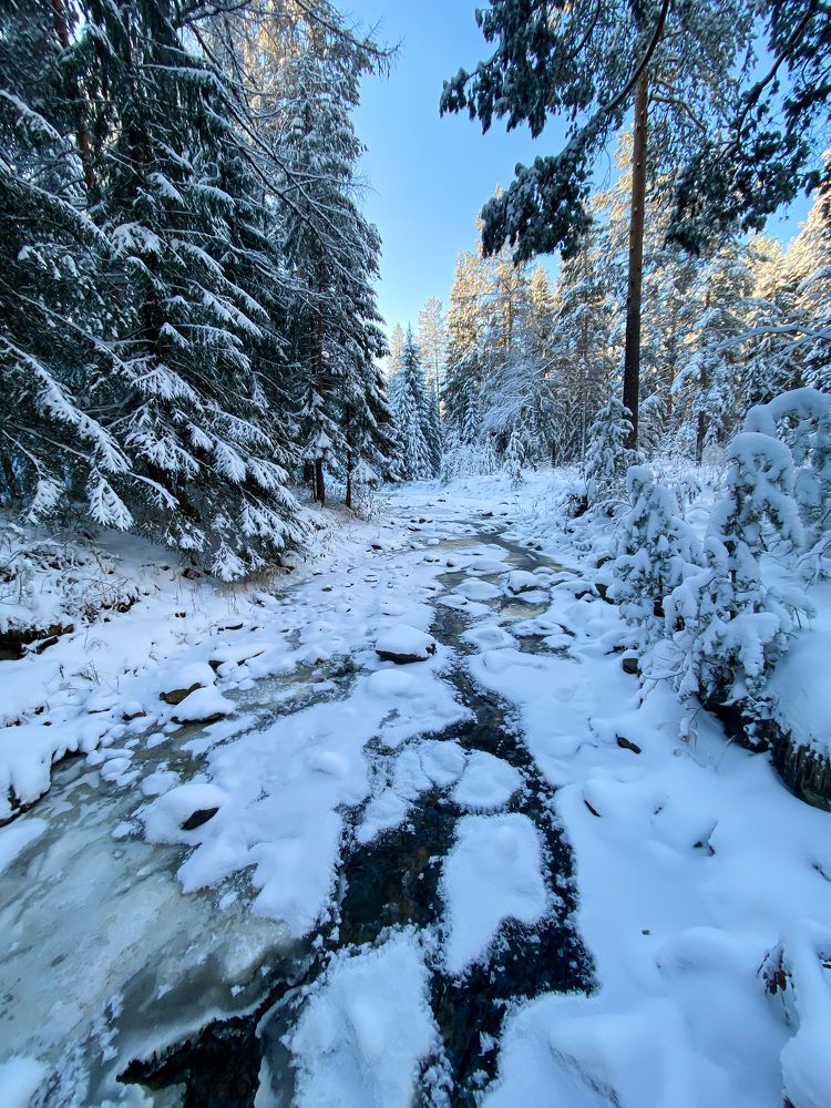 Photograph by Анастасия Чушкова
