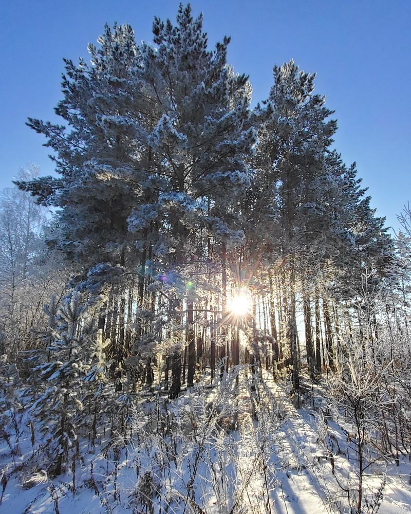 Photograph by Лариса