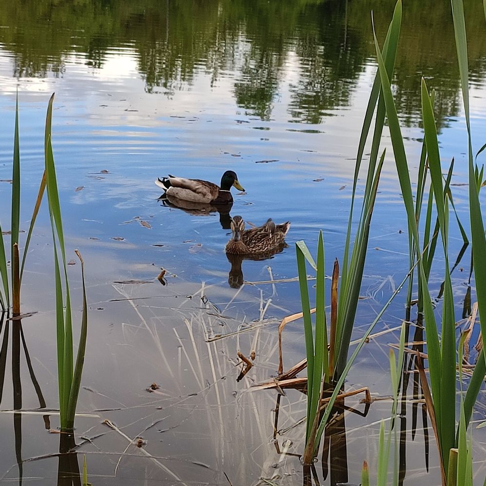 Photograph by DARIA DEMINA