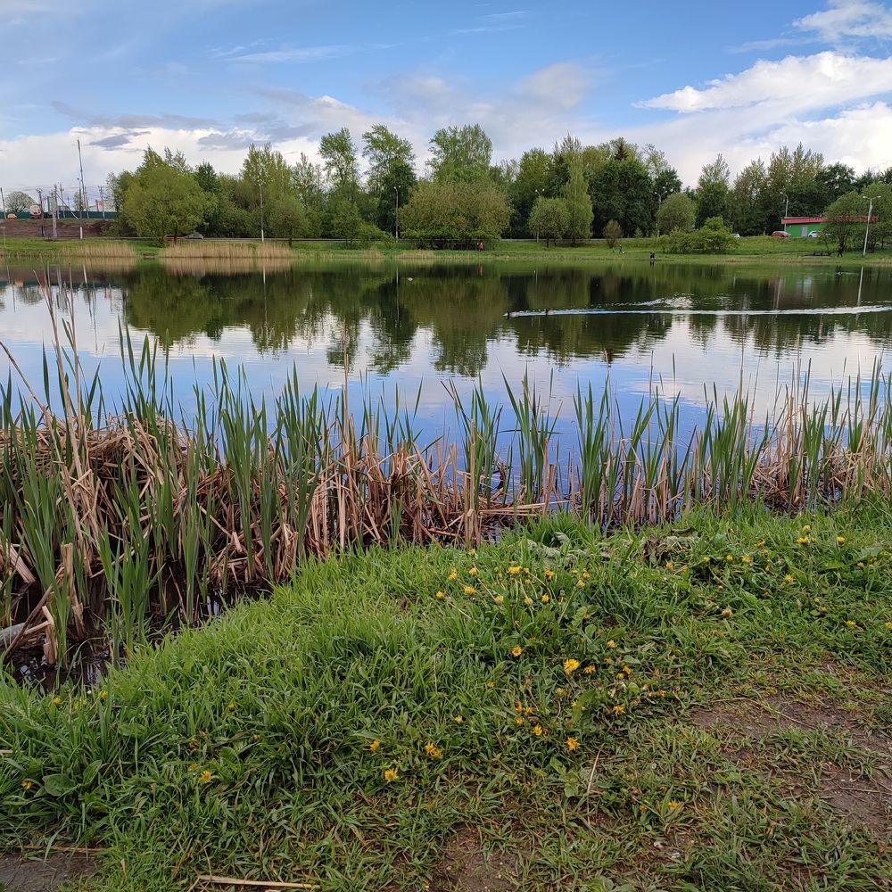 Photograph by DARIA DEMINA