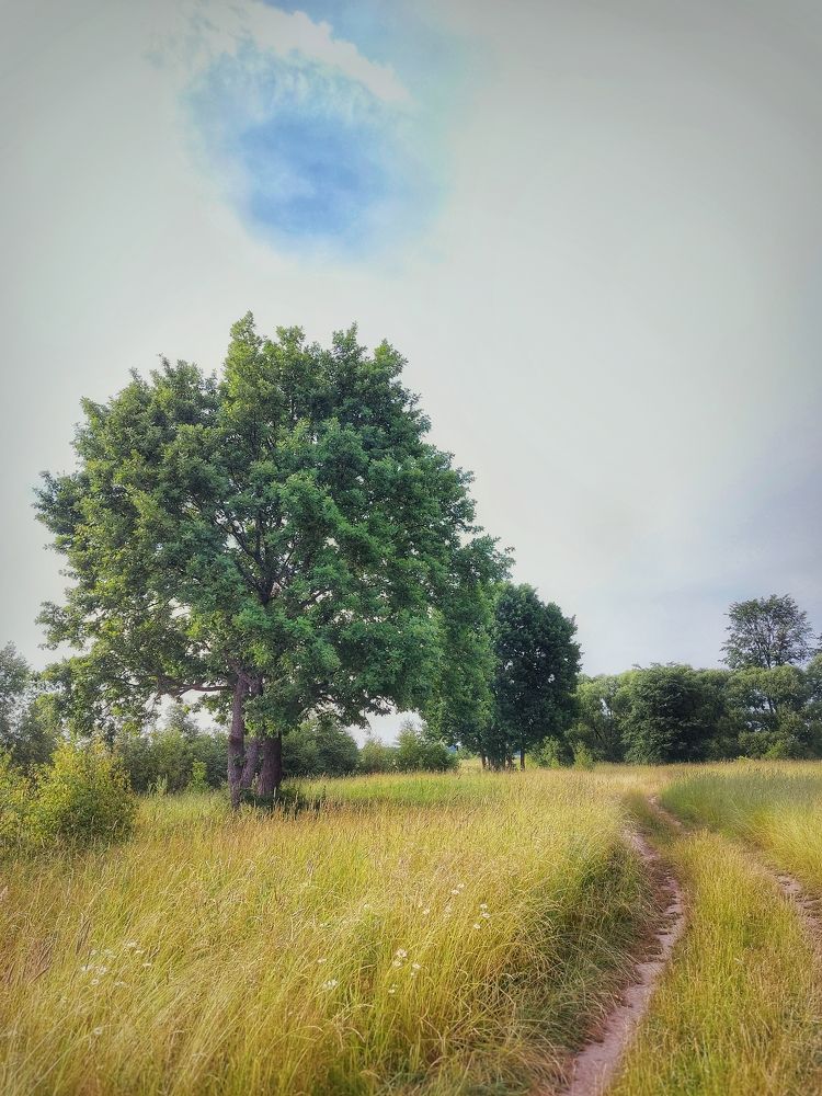 Photograph by Elena Malova