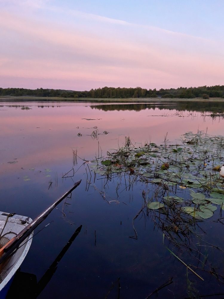 Photograph by Анжелика Медведева