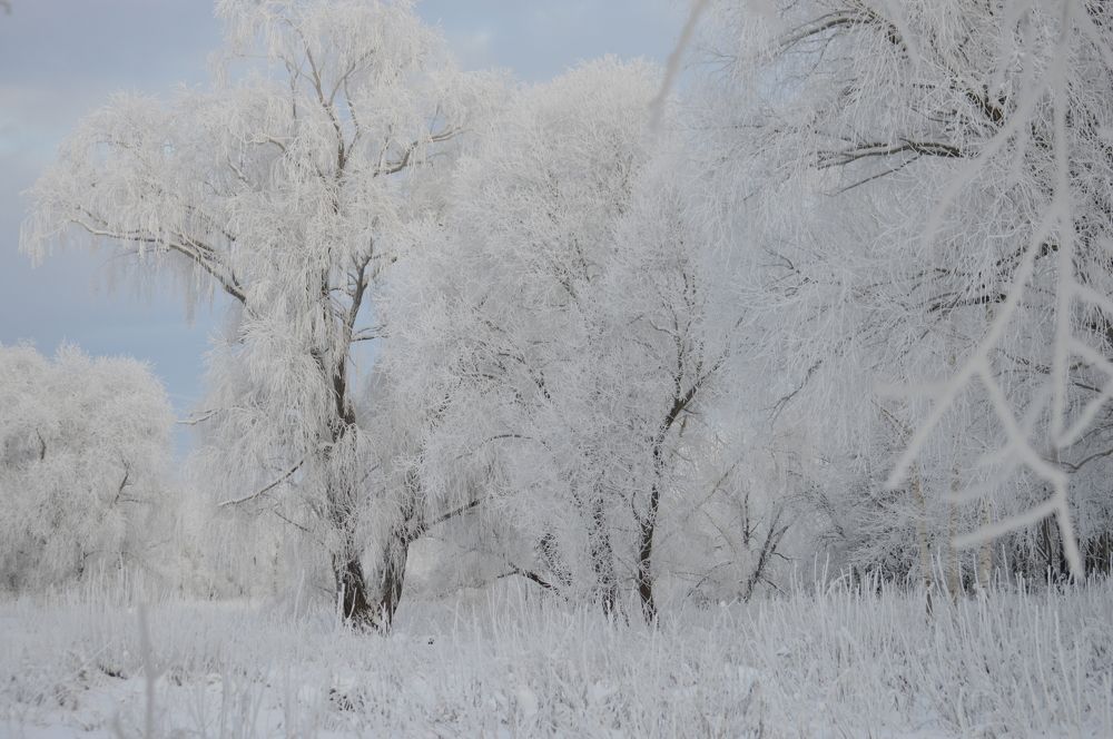 Photograph by Владимир Джерихов