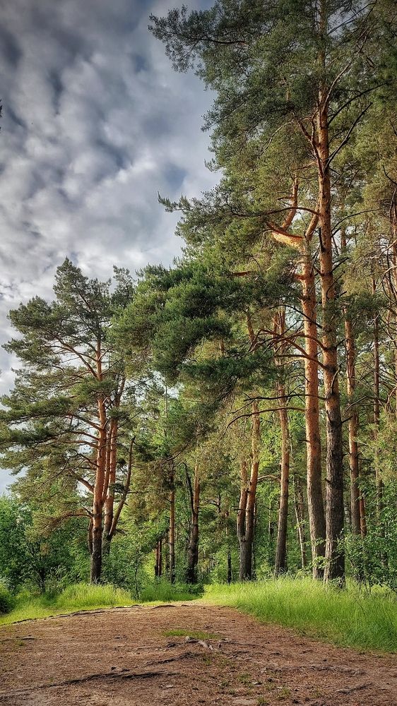 Photograph by Elena Malova