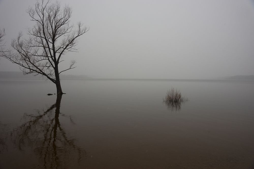 Photograph by Максимова Дария