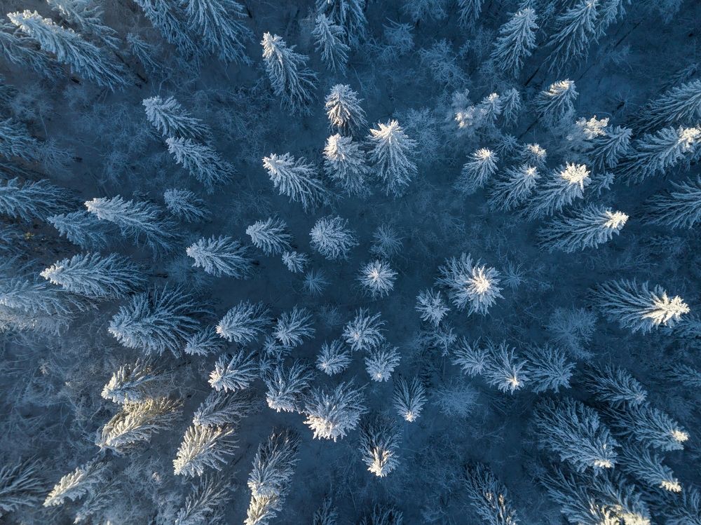 Photograph by Roman Dmitriev