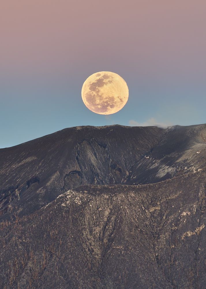 Photograph by Jose Vega